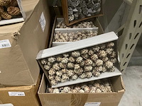 Bloemisterij artikelen - afbeelding 16 van  19