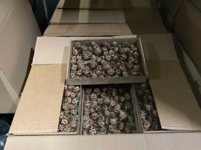 Bloemisterij artikelen - afbeelding 18 van  19