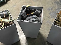 Bloempot - flower pot (3x) - afbeelding 3 van  5