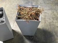 Bloempot - flower pot (3x) - afbeelding 3 van  4