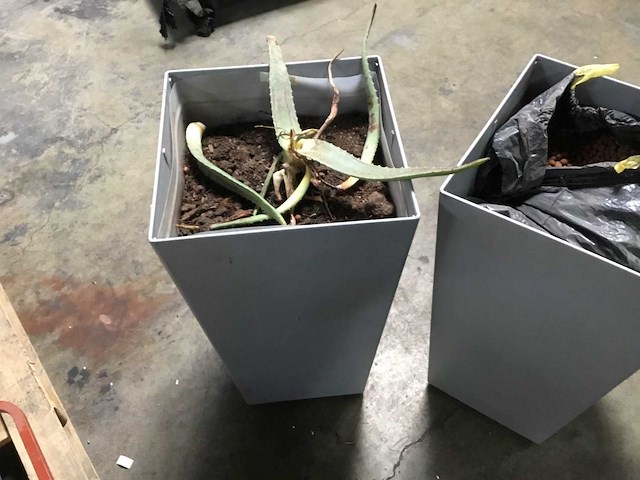 Bloempot - flower pot (3x) - afbeelding 4 van  4