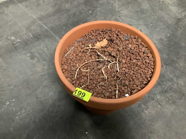 Bloempot - flower pot (8x) - afbeelding 2 van  3