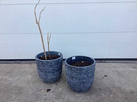 Bloempot (2x)