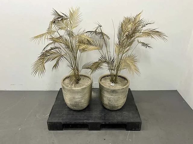 Bloempot ø 40 cm (2x) - afbeelding 1 van  6