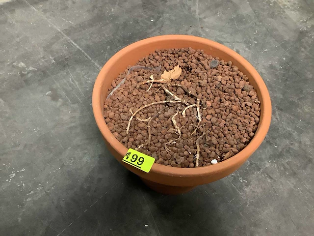 Bloempot (8x) - afbeelding 2 van  3