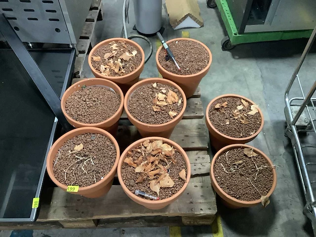 Bloempot (8x) - afbeelding 3 van  3