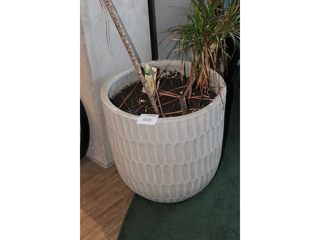 Bloempot doorsnede 52 cm en hoogte 54 cm. - afbeelding 2 van  2