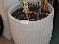 Bloempot doorsnede 52 cm en hoogte 54 cm. - afbeelding 2 van  2
