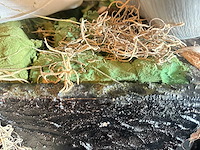 Bloempot met kunstbloemen (2x) - afbeelding 4 van  5