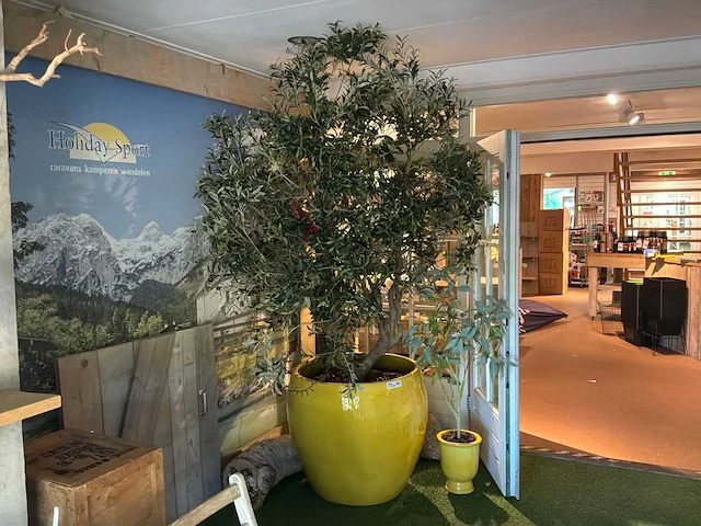 Bloempot met kunstboom/plant (3x) - afbeelding 1 van  6