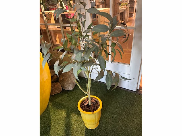 Bloempot met kunstboom/plant (3x) - afbeelding 3 van  6