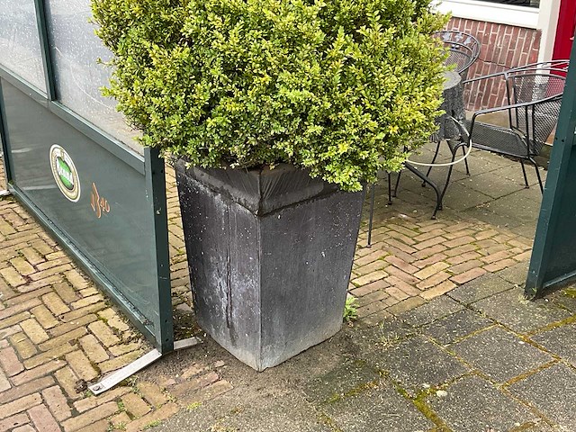Bloempot met plant (2x) - afbeelding 1 van  2