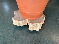 Bloempot met plant - afbeelding 6 van  6