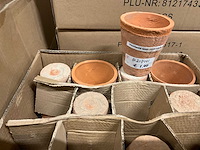 Bloempot - afbeelding 44 van  47