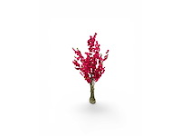 Bloesem boom (2x) - afbeelding 2 van  6