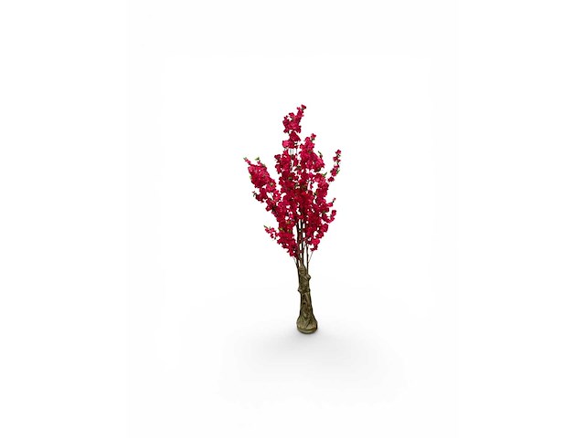 Bloesem boom (2x) - afbeelding 4 van  6