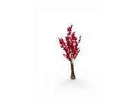 Bloesem boom (2x) - afbeelding 4 van  6
