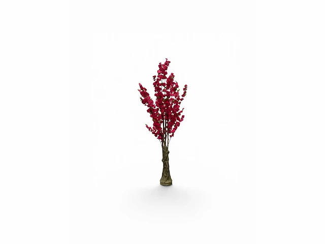 Bloesem boom (2x) - afbeelding 6 van  6