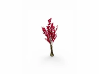 Bloesem boom (2x) - afbeelding 4 van  6