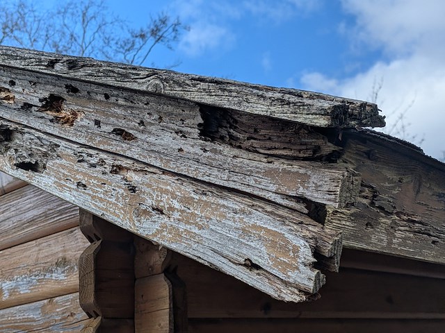 Blokhut - afbeelding 29 van  38