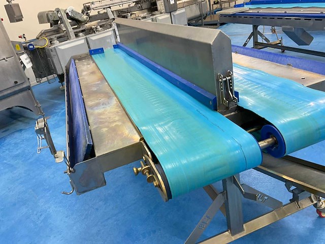 Blt rvs dubbele sorteertafel met transportbanden - afbeelding 2 van  5