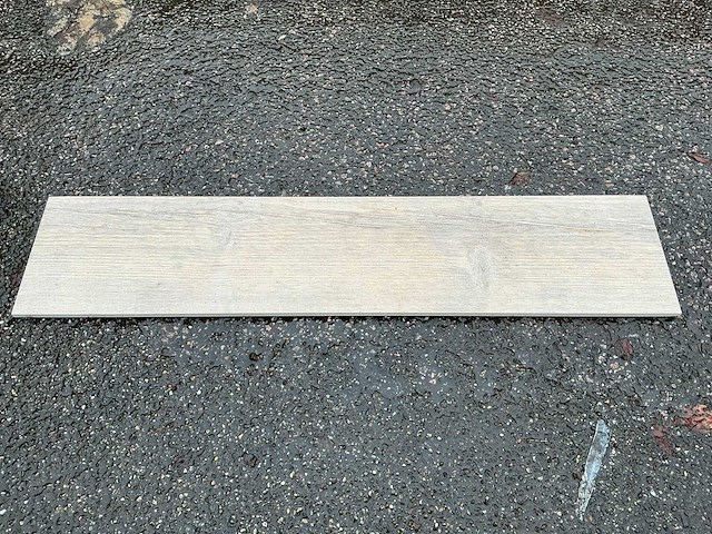 Blustyle - iso 13006 g - 90,5x20cm - 7,6 m2 - partij wandtegel - afbeelding 1 van  5