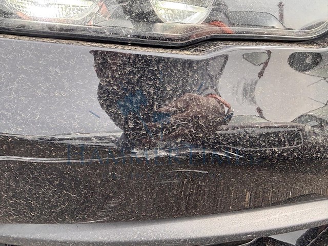 Bmw 1 hatch (f20 lci) 116i, 2016 - afbeelding 22 van  34