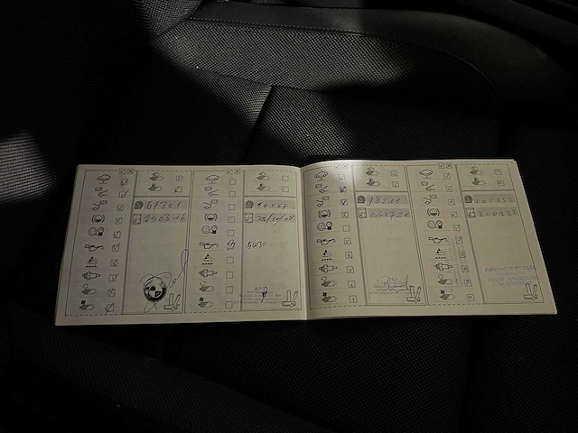 Bmw 1-serie 118i effdyn.edition, p-371-sl - afbeelding 11 van  13