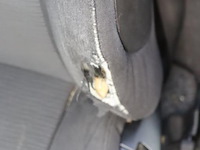 Bmw 1er reihe 118i | benzine | kenteken: 73-xl-zp - afbeelding 11 van  33