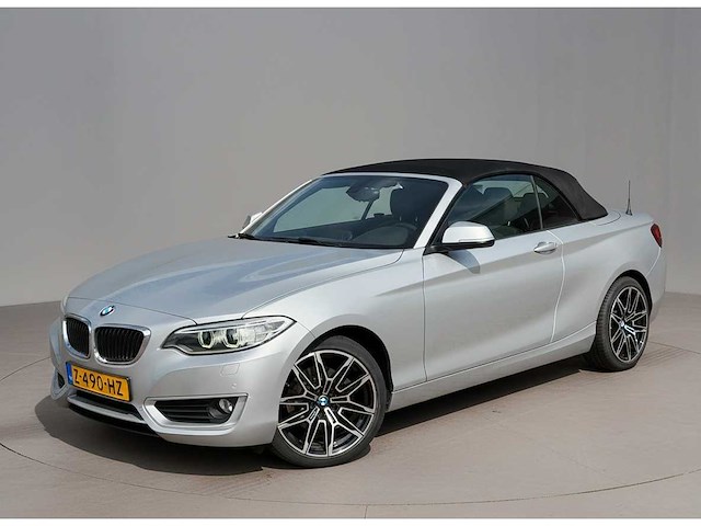 Bmw 2-serie cabrio 220i | z-490-hz i - afbeelding 1 van  24