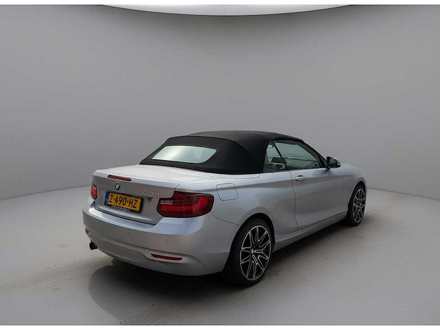 Bmw 2-serie cabrio 220i | z-490-hz i - afbeelding 12 van  24
