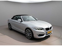 Bmw 2-serie cabrio 220i | z-490-hz i - afbeelding 20 van  24
