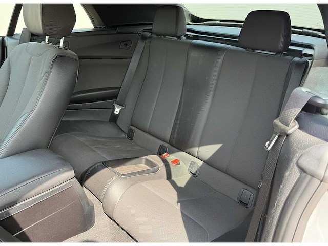 Bmw 2-serie cabrio 220i | z-490-hz i - afbeelding 24 van  24
