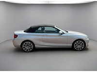 Bmw 2-serie cabrio 220i | z-490-hz i - afbeelding 2 van  24