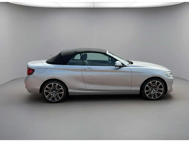 Bmw 2-serie cabrio 220i | z-490-hz i - afbeelding 2 van  24
