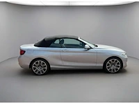 Bmw 2-serie cabrio 220i | z-490-hz i - afbeelding 2 van  24