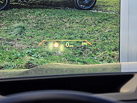 Bmw x5 xdrive 50e m sport -2024 | u9-67-40 - afbeelding 10 van  24