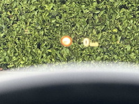 Bmw x6 xdrive40d high executive 2015 | gs-219-v - afbeelding 5 van  29