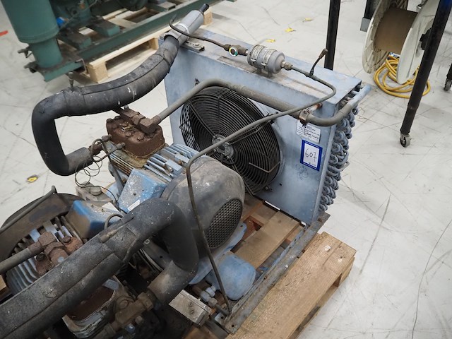 Bock - afbeelding 1 van  7