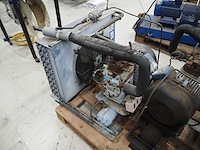 Bock - afbeelding 2 van  7