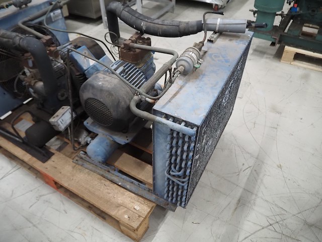 Bock - afbeelding 4 van  7