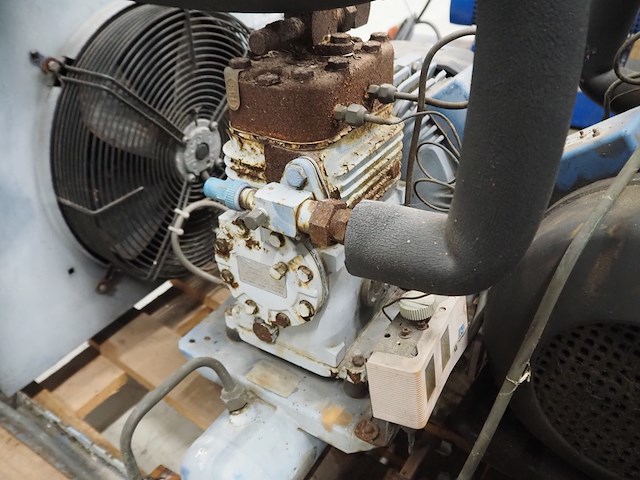 Bock - afbeelding 5 van  7