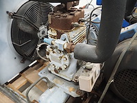 Bock - afbeelding 5 van  7