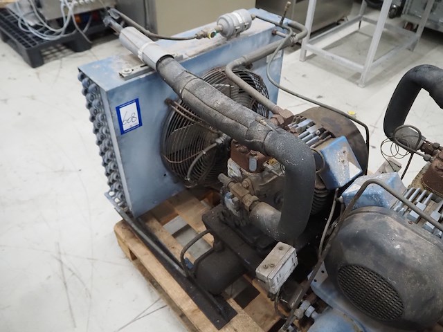 Bock - afbeelding 1 van  5