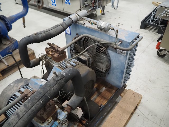 Bock - afbeelding 2 van  5