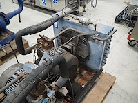 Bock - afbeelding 2 van  5