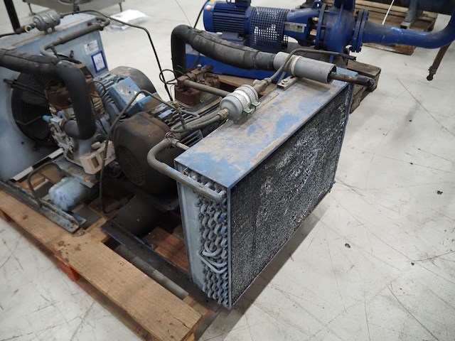 Bock - afbeelding 3 van  5