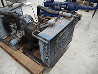 Bock - afbeelding 3 van  5