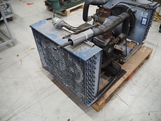 Bock - afbeelding 4 van  5