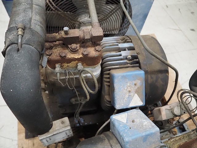 Bock - afbeelding 5 van  5